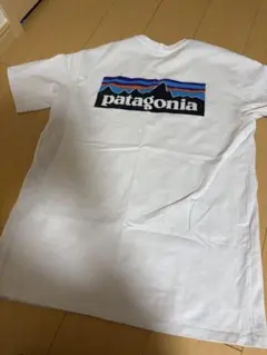 patagonia Tシャツ ホワイト