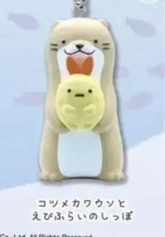 コツメカワウソ エビフライのしっぽ＊む様専用