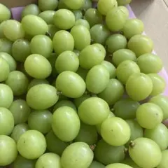 シャインマスカット粒売り