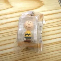 PEANUTS パッケージミニチュアコレクション