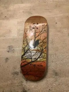 sos fingerboard