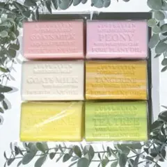 Item thumbnail for item 720a91c4-6b21-41ea-9917-d975ee3db4fa