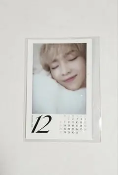 &TEAM NICHOLAS ニコラス カレンダー カード