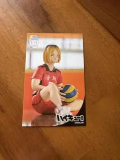 ハイキュー‼︎ ぬーどるストッパーフィギュアカード-孤爪研磨-