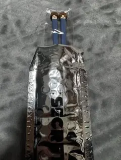 shunto ミュージシャン