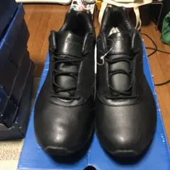 Reebok DMX MAX PLUS RAINWALKERAP リーボック