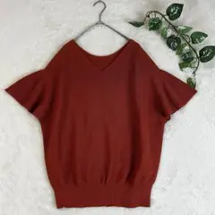 ブラーミン BRAHMIN レディース Vネック ドルマンスリーブ 半袖ニット