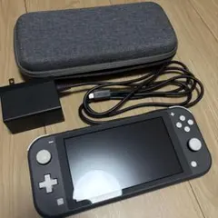 Nintendo Switch Lite グレー 本体 動作品 充電器 ケース付