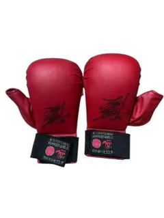 Item thumbnail for item 96886055-303b-4668-ad41-6dc5653c11df