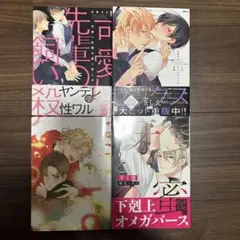 ボーイズラブ漫画セット 4冊
