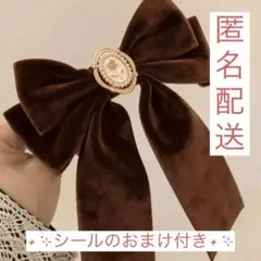 SHEIN ヘアクリップ ヘアピン ヘアアクセサリークラシカル リボン ブラウン