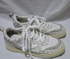 Item thumbnail for item 9d8a49d1-771b-4e88-ae15-a3f97505a4f1