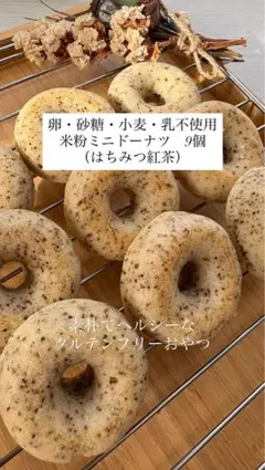 フェイクスイーツ ココナツチョコレート ドーナツ ココナッツチョコ