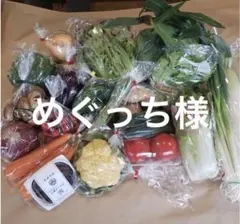 めぐっち様 野菜セット 果物追加