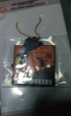 ポケモン一番くじ～Let's Go for a Walk!～ G賞チャームポカブ