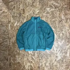 【レア】 Patagonia Shelled Microdini Jacket