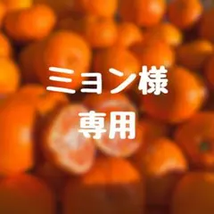 ミョン様専用♪3キロ✖️2箱♪大坊みかん♪3Sサイズ