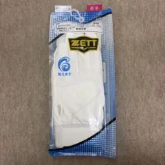 Item thumbnail for item bc9ef584-d8ae-4e93-a62e-02bd59e4a536