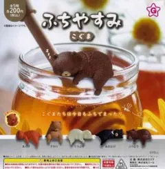 ふちやすみ こぐま 全5種セット