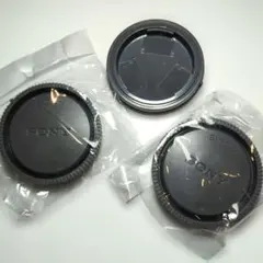 Item thumbnail for item 6c438557-80ac-47e5-bdc4-46d65149644c