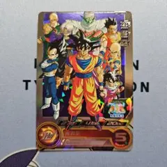 【微傷アリ】孫悟空　bm11-asec2