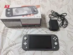 Nintendo Switch Lite グレー 充電器・箱付き