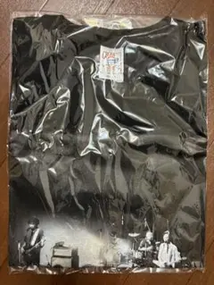 ペトロールズ 長岡亮介 TeeVee シャツ M ペトロールズ 長岡亮介 デザインTシャツ フライングV ギター