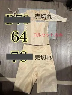 フォーシスアンドカンパニーブライダルインナーベージュ