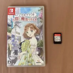 マジカルクラフト 猫と魔法のドレス NintendoSwitch