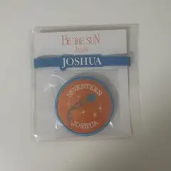 seventeen ジョシュア ペンライトアクセサリー