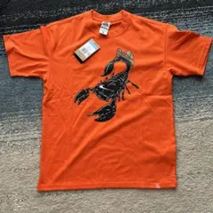 NIKE ACG OC スコーピオンTシャツ M ジョーダン SB トレイルのサムネイル