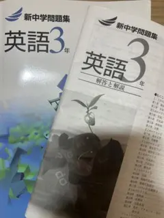 新中学問題集 英語3年