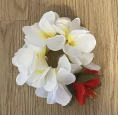 플루메리아와 히비스커스 레이 (손과 발용)