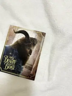 Disney BEAUTY AND THE BEAST