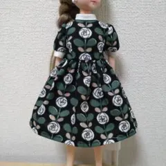 Item thumbnail for item bd8bfe31-fcba-4e11-b5a0-25a1794967df