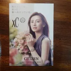 北川景子　CITIZEN　シチズン　XCパネルポップ 非売品　コレクションに