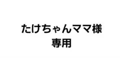 たけちゃんママ様専用