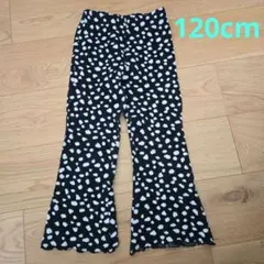 BREEZE ドット柄 フレアパンツ 120