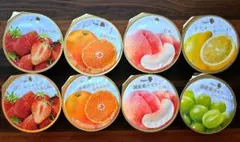 Mary's 国産果汁ゼリー 8個セットのサムネイル