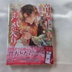 竜騎士のお気に入り 9