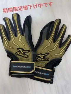 野球　ミズノプロ バッティンググローブ　限定品