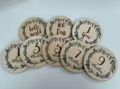 Item thumbnail for item 3aa91ab8-016c-410b-91ce-7a718f9bb0d3