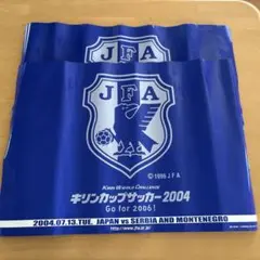 キリンカップサッカー2004 記念ポスター　2枚　断捨離処理のため11月まで出品