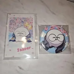 Crazy Raccoon CRフェス じゃすぱー 缶バッジ チェキ 2026