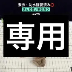 煮沸・沈水確認済み】 aa22 天然流木 アクアリウム、爬虫類用 - メルカリ
