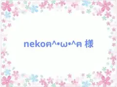 ✨️巾着・給食袋…2枚セット✨️　　　 オーダー品
