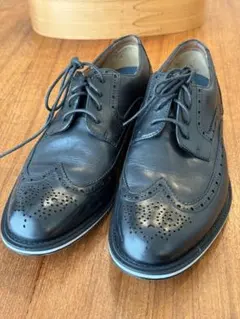 Item thumbnail for item f5e3ba91-d0dc-4cbf-889a-b09bd9e44c6d