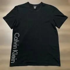 Calvin Klein カルバン クライン ロゴTシャツ 黒 Mサイズ 古着のサムネイル