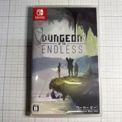 ダンジョン オブ ジ エンドレス Switch版