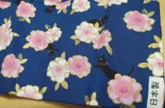 Item thumbnail for item 5644fb96-bd67-4888-aca0-2daa62378a47